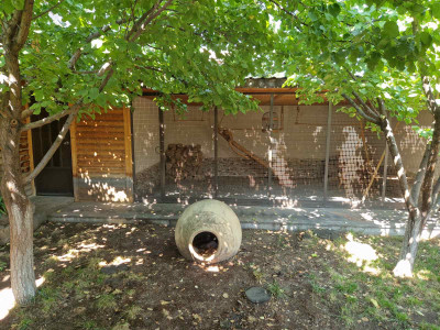 Կոդ AA-6041 Վաճառվում է առանձնատուն