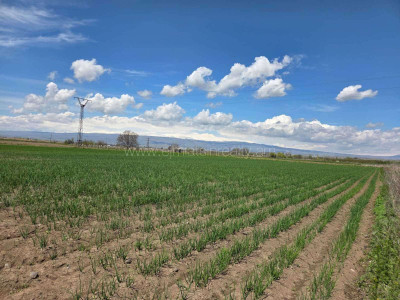Կոդ KA-0811   Վաճառվում է հողատարածք