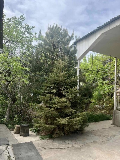 Կոդ AA-7205   Վաճառվում է առանձնատուն