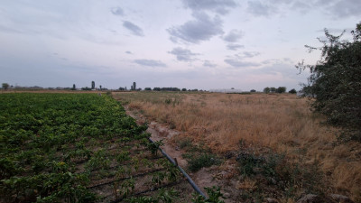 Կոդ KV-9804 Վաճառվում է վարելահող