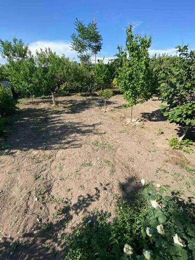 Կոդ AA-7717 Վաճառվում է առանձնատուն