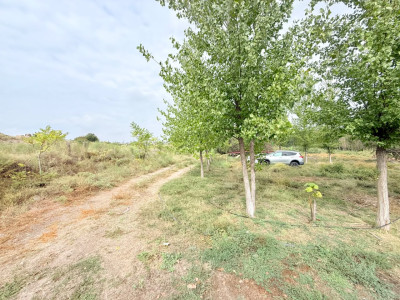 Կոդ KM-3411 Վաճառվում է հանգստյան գոտու տարածք