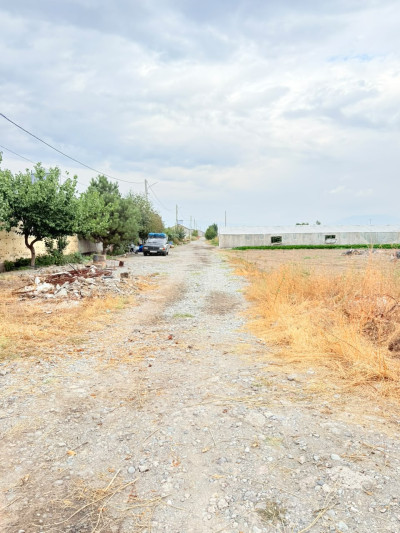 Կոդ HM-6818 Վաճառվում է տնամերձ հող