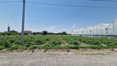 Կոդ HV-0458 Վաճառվում է տնամերձ հող
