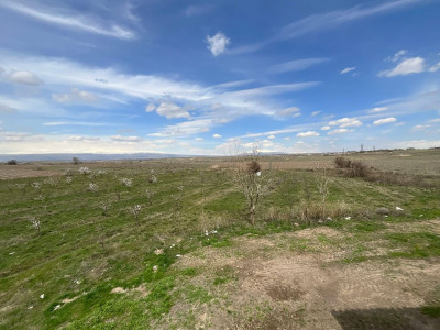 Կոդ KA-4245  Վաճառվում է հողարատածք