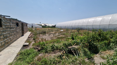 Կոդ AV-6012 Վաճառվում է առանձնատուն