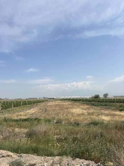 Կոդ KA-7005  Վաճառվում է հողատարածք