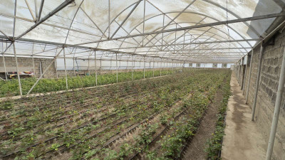 Կոդ AA-0301 Վաճառվում է առանձնատուն