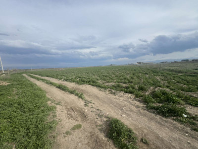 Կոդ HS-3111  Վաճառվում է տնամերձ հող