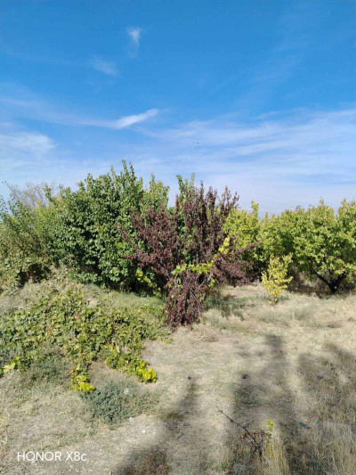 Կոդ HV-3088 Վաճառվում է տնամերձ հող
